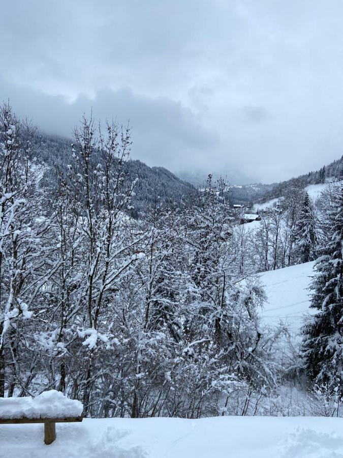Chalet Soleya Le Grand-Bornand Buitenkant foto